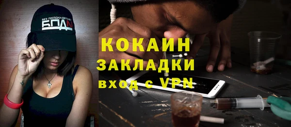 прущие грибы Верея