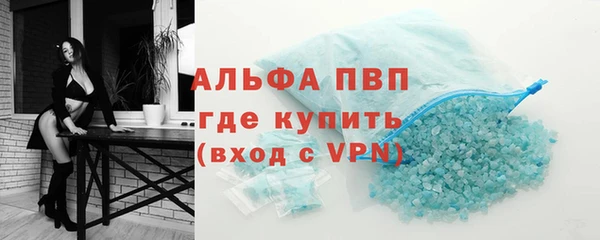 прущие грибы Верея