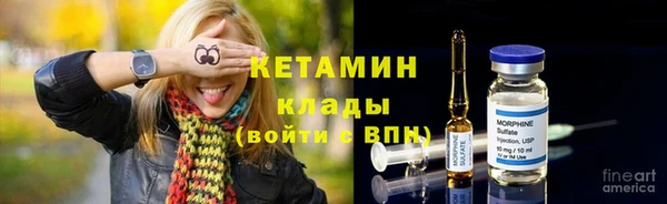 прущие грибы Верея