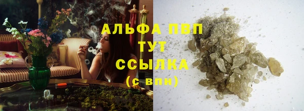 прущие грибы Верея