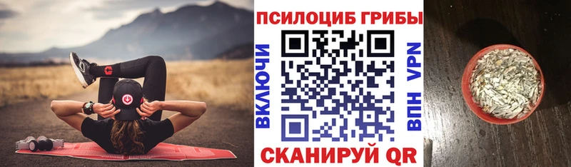 Купить  Вуктыл  Галлюциногенные грибы ЛСД 